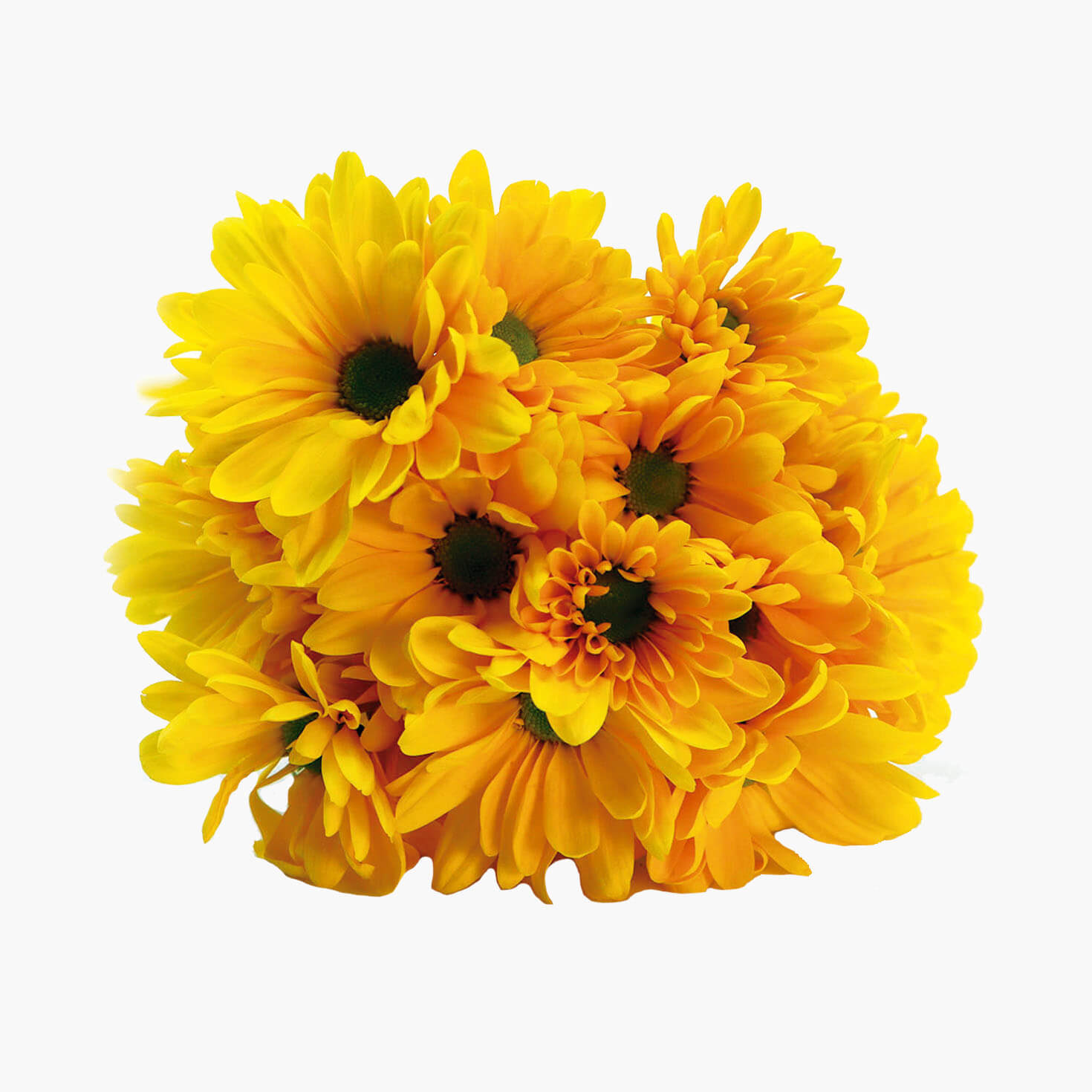 Yellow Daisy • Flower Mail® Buy Yellow Daisy Online