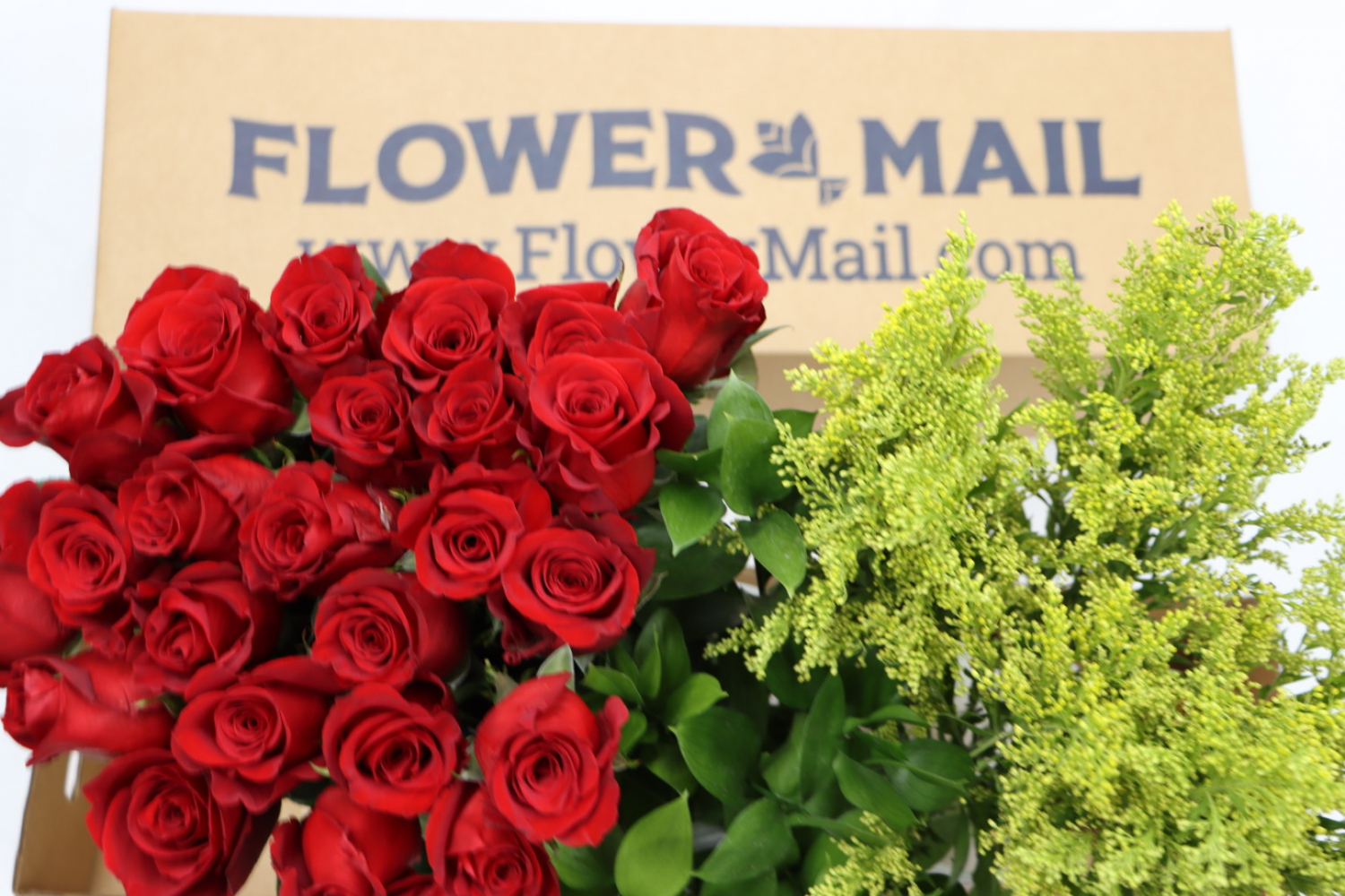 Subscription • Flower Mail®