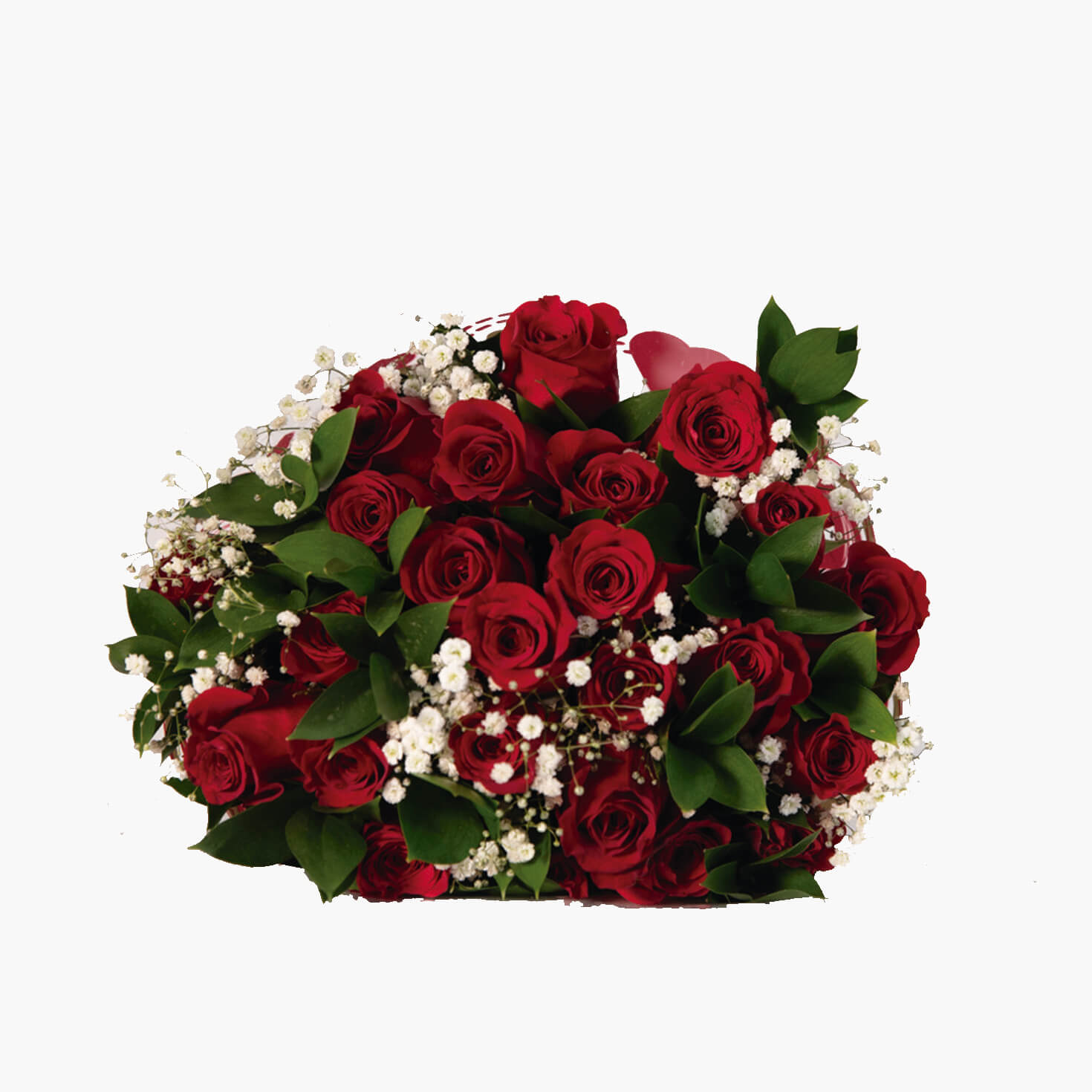 24 Red Rose Bouquet with Baby Breath by Vivid Flowers